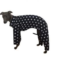 The Trendy Whippet image 2